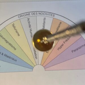 Géobiologie : Etude des énergies naturelles et Harmonisation des énergies subtiles à distance